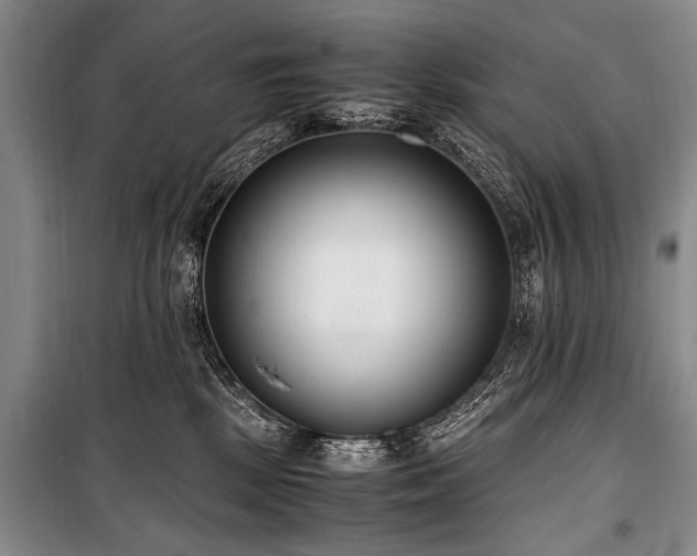 X0000101190281200806271323