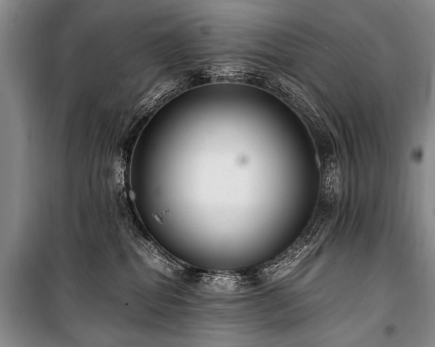 X0000101190282200806271323