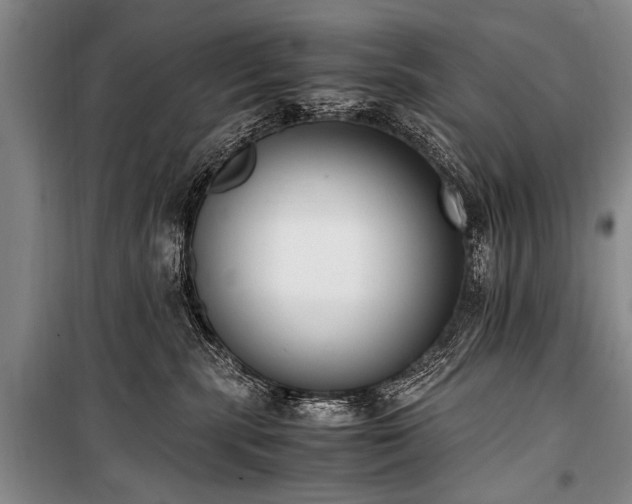 X0000101190283200806271323