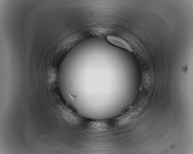 X0000101190284200806271323