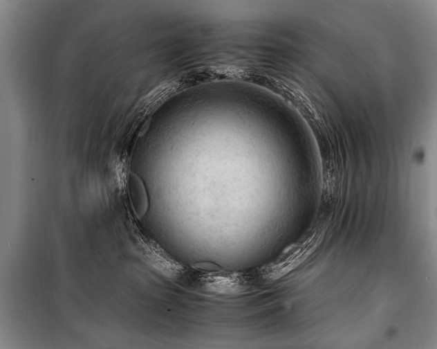 X0000101190285200806271323