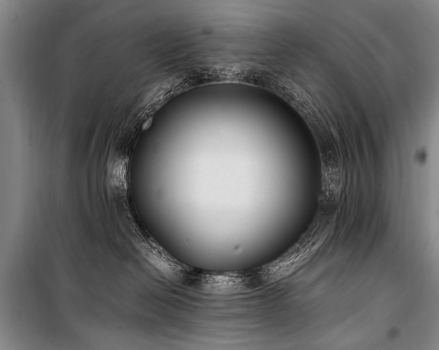 X0000101190286200806271323