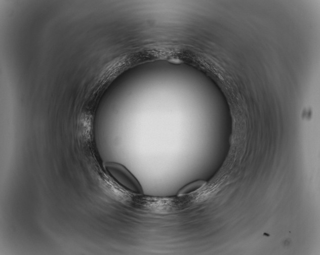 X0000101190288200806271323