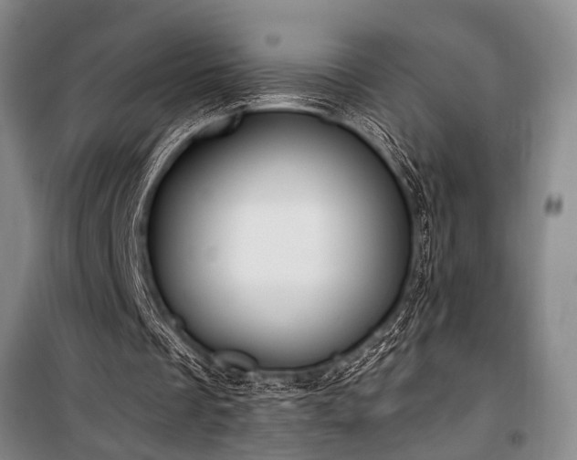 X0000101190289200806271323