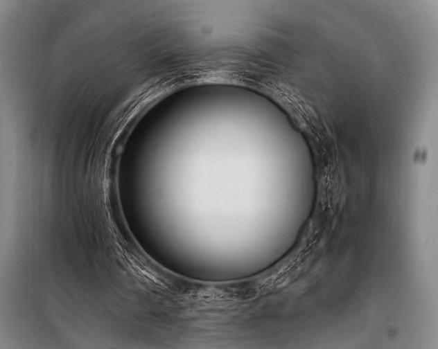 X0000101190290200806271323