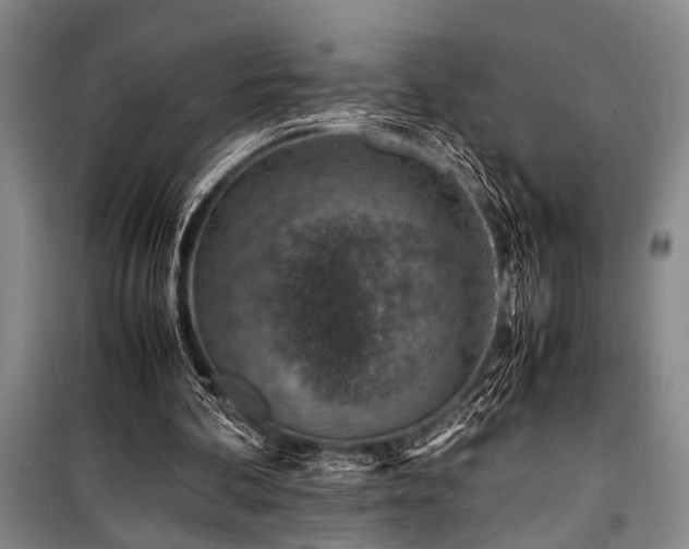 X0000101190292200806271322