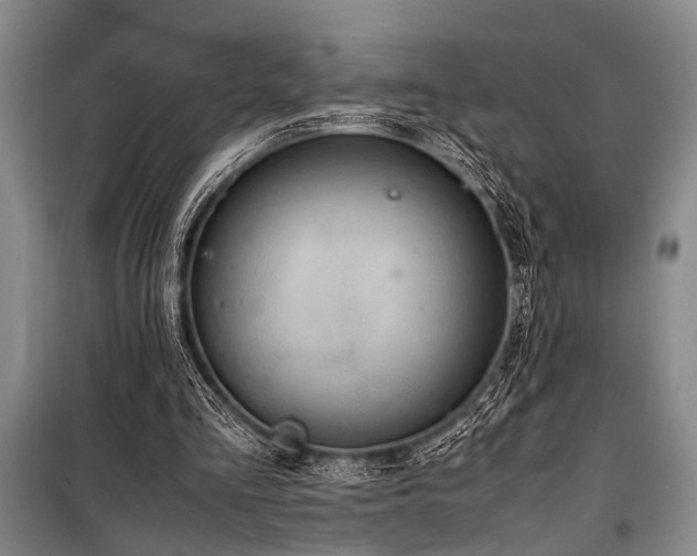 X0000101190293200806271322