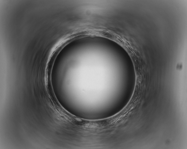 X0000101190294200806271322