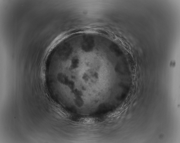 X0000101190295200806271322