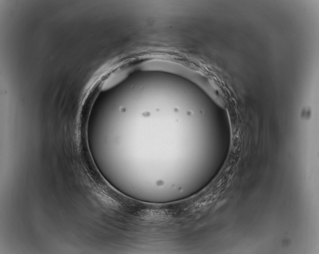 X0000101190296200806271322