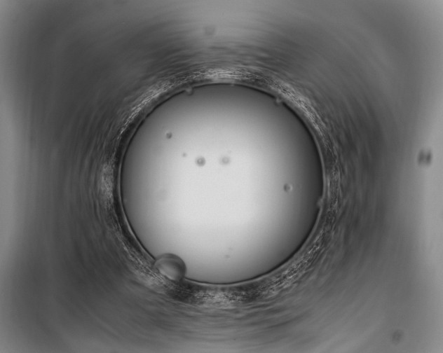 X0000101190297200806271322
