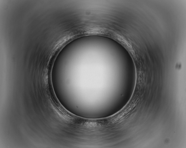 X0000101190298200806271322