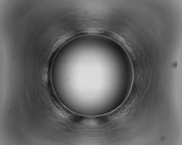 X0000101190299200806271322