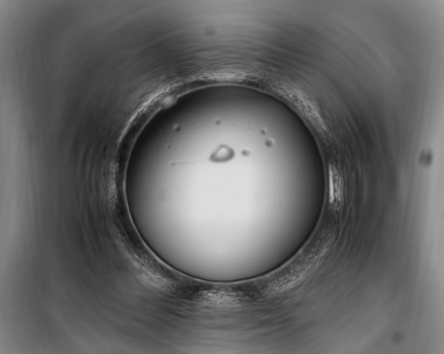 X0000101190300200806271322