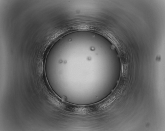 X0000101190301200806271322