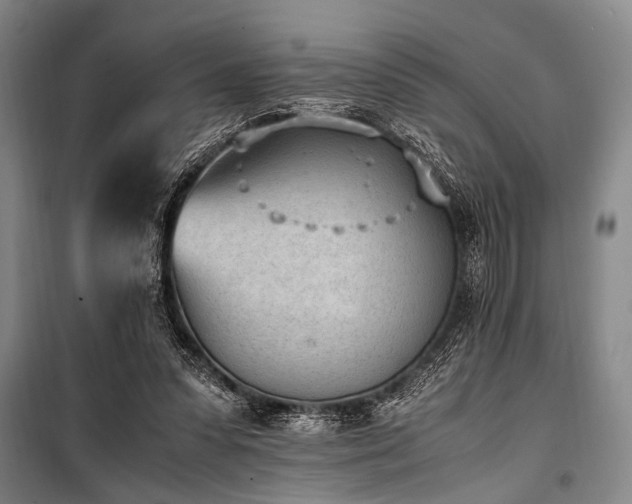 X0000101190303200806271322