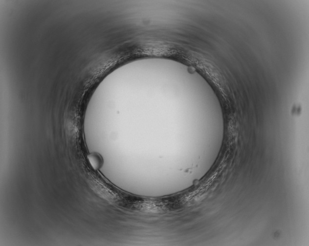 X0000101190305200806271322