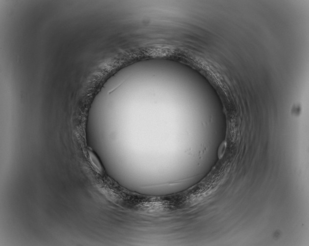 X0000101190307200806271322