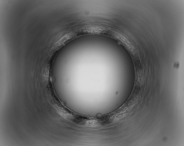 X0000101190309200806271322