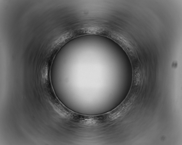 X0000101190310200806271322