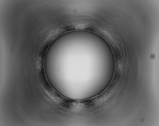 X0000101190311200806271322