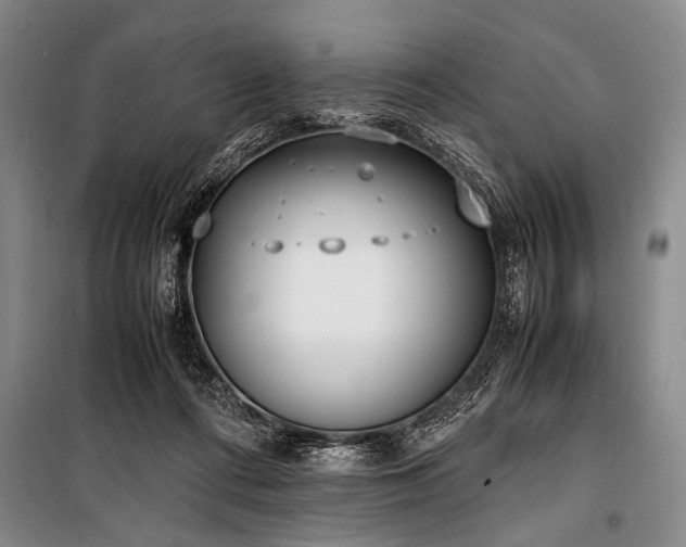 X0000101190312200806271322