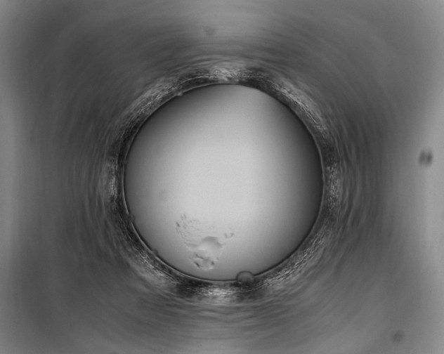 X0000101190313200806271322
