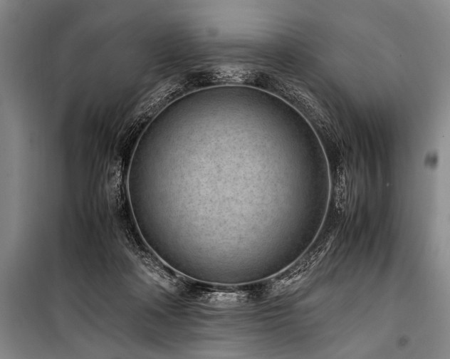 X0000101190314200806271322
