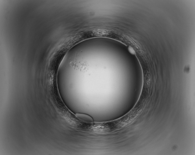 X0000101190315200806271322