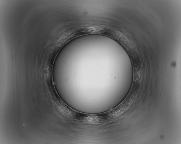 X0000101190317200806271322