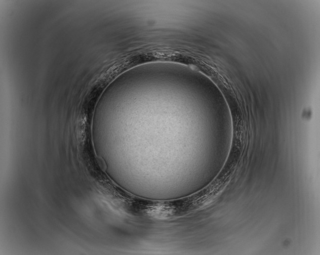 X0000101190319200806271322
