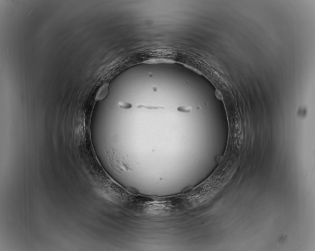 X0000101190320200806271322
