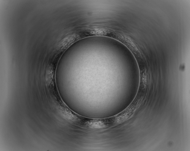 X0000101190322200806271322