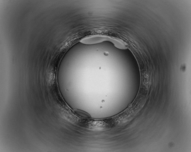 X0000101190324200806271322
