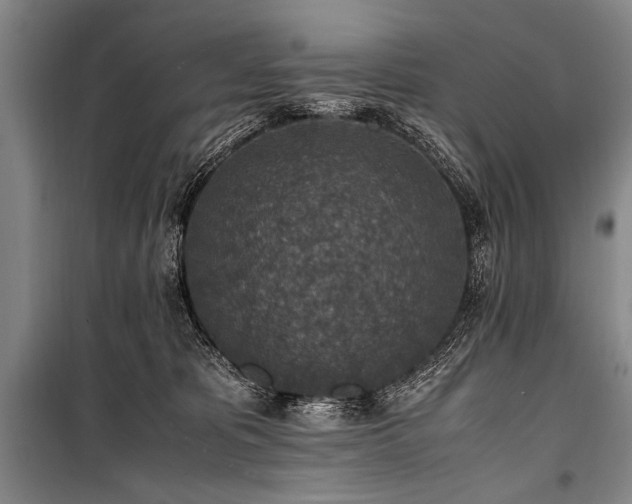 X0000101190325200806271322