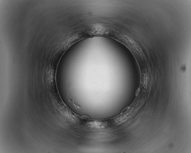 X0000101190326200806271322
