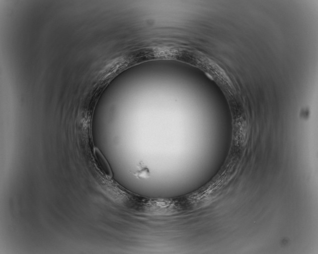 X0000101190329200806271322