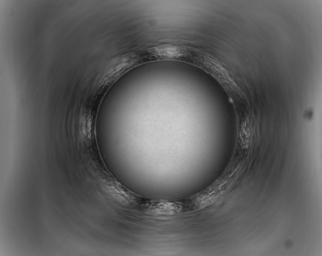 X0000101190330200806271322