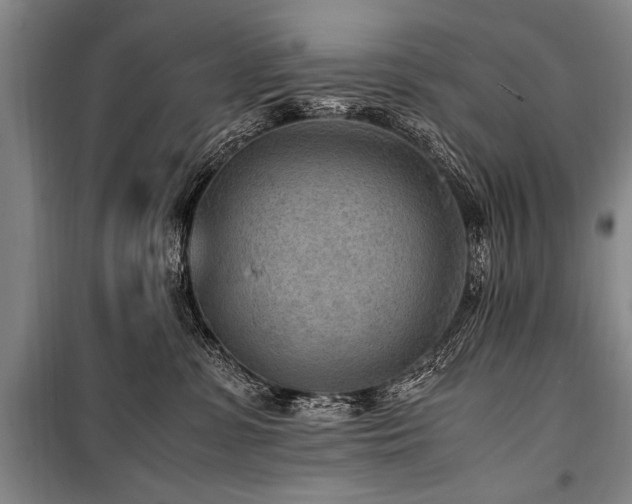X0000101190331200806271322