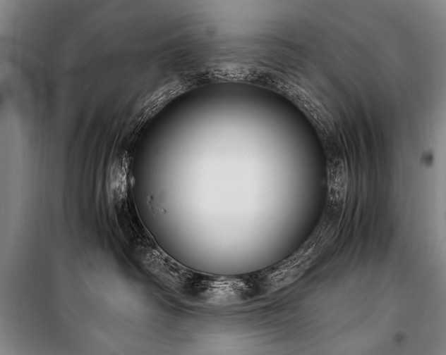 X0000101190334200806271322