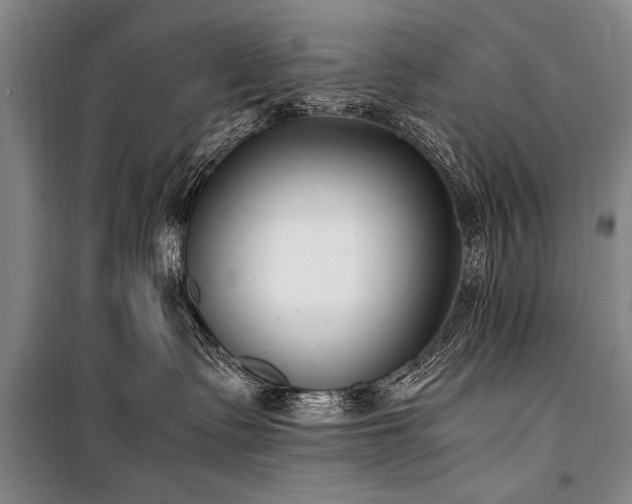 X0000101190335200806271322