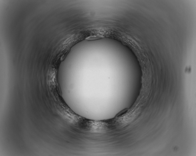 X0000101190336200806271322