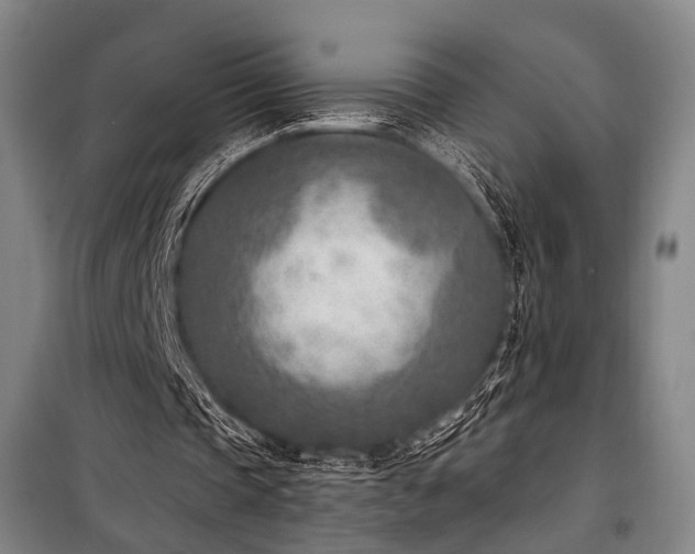 X0000101190337200806271321