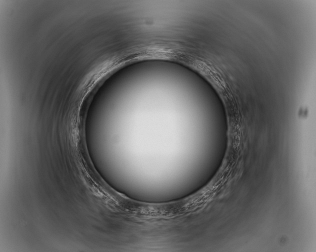 X0000101190338200806271321