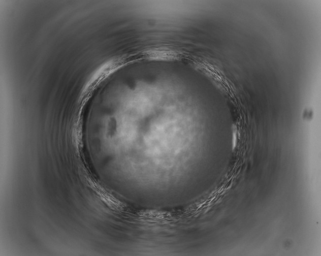 X0000101190339200806271321