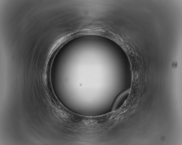 X0000101190340200806271321