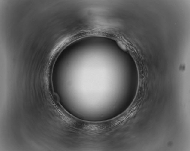 X0000101190341200806271321