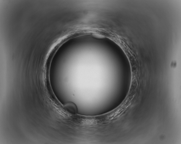 X0000101190342200806271321