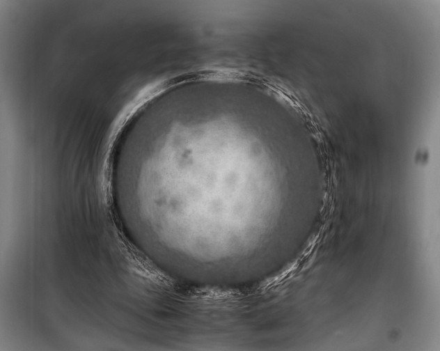 X0000101190343200806271321