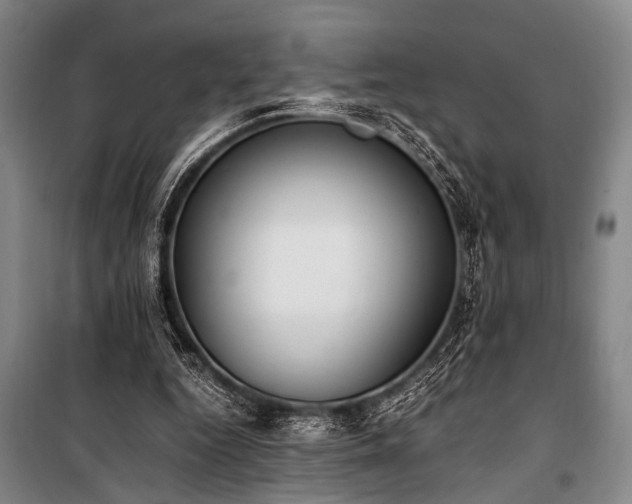 X0000101190344200806271321